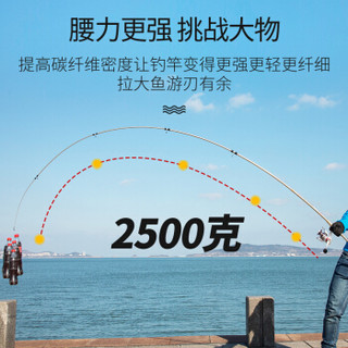 御风鲤（YFL）海竿套装4.2米远投竿碳素超硬海杆抛竿海钓鱼竿