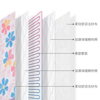 HANASS电热毯 双人款双温双控电热毯 加厚水暖双温电褥子 120*150cm