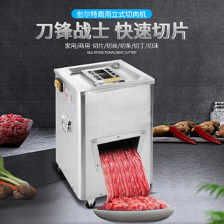 创尔特（Chant）切肉机商用电动全自动切片丝切丁机切菜机家用绞肉机小型切肉片机 商用多功能切肉机 DQ-L