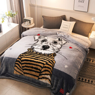 九洲鹿 加大加厚双层盖毯6.6斤拉舍尔毛毯 200*230cm 秋冬保暖厚毯子床单冬季空调毯盖毯