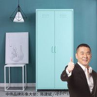 中伟更衣柜员工柜储物柜大衣柜钢制铁皮柜寄存柜二门更衣柜可定制薄荷绿