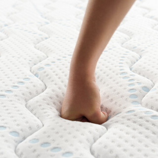 家逸席梦思床垫1.8m软硬两用天然环保乳胶独立弹簧椰棕双人床垫CD002