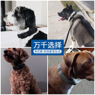 多尼斯（DOGNESS）狗狗牵引绳遛狗绳狗链子项圈中小型犬柯基宠物用品泰迪套装2件 灰色L码