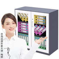 奈高NG文件柜办公柜资料柜档案柜储物拆装柜灰白玻璃矮柜薄边