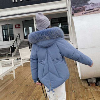 MAX WAY 女装  2019冬季短款ins港风连帽棉服百搭韩版棉衣QDmw0823 蓝色 XL