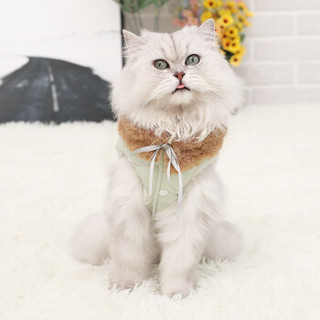 华元宠具（hoopet）猫咪衣服英短美短布偶小幼猫两脚装宠物棉服绿色XL