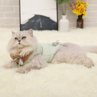 华元宠具（hoopet）猫咪衣服英短美短布偶小幼猫两脚装宠物棉服绿色XL