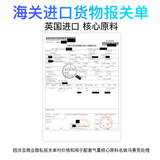 狮箭 英国出品 汽车活性炭炭包 车用炭包 新车除味 新房除甲醛车内去异味车载碳包230g*12袋摆件用品