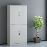 锐达星文件柜办公柜钢制铁皮柜资料柜档案柜通双节经济款可定制