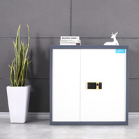 中伟保密柜文件柜档案柜保险柜双保险密码柜指纹锁蓝白下节带抽加厚款