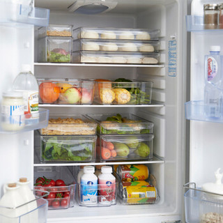 振兴 厨房冰箱冷冻藏放鸡蛋果蔬的收纳盒橱柜储物整理盒SJM1629