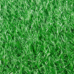 萌肉居 仿真草坪加密人造假草皮绿色地毯围挡户外室内幼儿园操场装饰草人工草坪（25mm夏草/平方)