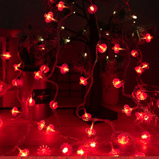 QW 青苇 LED灯串灯彩灯闪灯 新年元旦春节 布置会场装饰灯 3米20灯 电池款 小红灯笼
