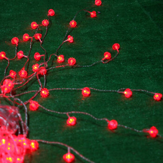 QW 青苇 LED灯串灯彩灯闪灯 新年元旦春节 布置会场装饰灯 3米20灯 电池款 小红灯笼