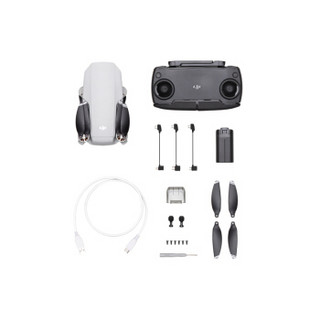 DJI 大疆 御 Mavic Mini DJI Care 随心换 实体卡