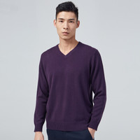 雪莲 SNOW LOTUS 秋冬山羊绒简约百搭V领男套头衫 男 989057 紫色（G802) 120