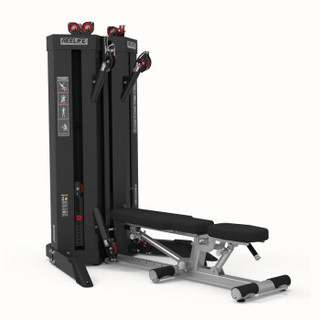 REELIFE 商用ROUND系列 高位下拉绳动综合训练组 健身房健身器械健身器材 RD830