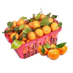 京觅 广西荔浦砂糖桔 甜沙糖橘子 2.5kg *8件