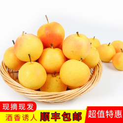 鞍山南果梨带箱包邮5斤中果