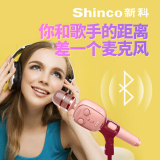 新科（Shinco）D21 手机电视K歌麦克风 主播直播蓝牙无线音响一体对唱话筒（黑）