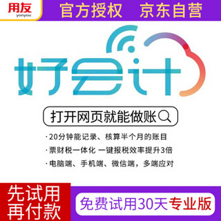 用友财务软件 好会计专业版 畅捷通T3在线版会计记账软件 专业版30天试用