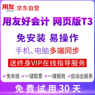 用友财务软件 好会计标准版 畅捷通T3在线版会计记账软件 专业版30天试用