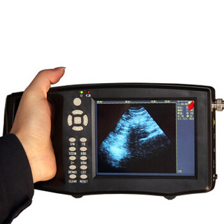 猪博士兽用B超机 猪用超声波怀孕诊断仪 可测背膘