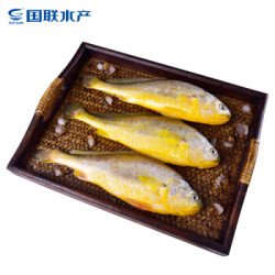 国联 东海原装黄鱼1kg 三条装 烧烤食材 自营海鲜水产