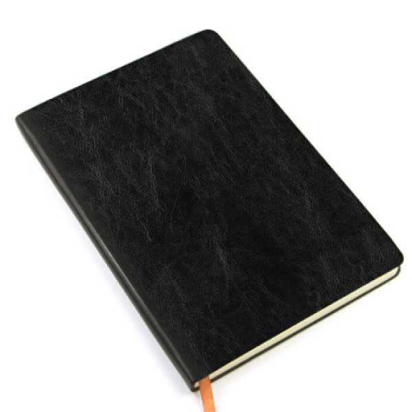 天章tango25k加厚商务皮面本笔记本记录本记事本210mm145mm160页黑色