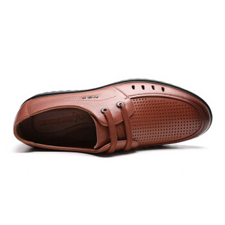 红蜻蜓（REDDRAGONFLY）男士舒适商务休闲凉鞋 WTL92101/02/03 棕色 39