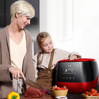 法格（fagor） 洗菜机果蔬清洗机超声波全自动家用水果蔬菜臭氧解毒机洗水果机 LVF-98R 红色