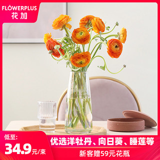 FlowerPlus 花加 方德玫瑰 10枝*2束