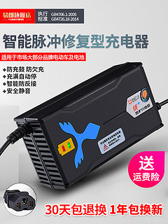 易朗 电瓶车充电器 48V12A 新日爱玛雅迪绿源电车通用