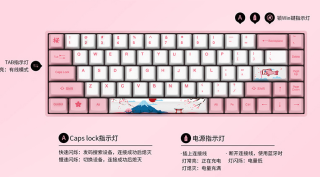 Akko 艾酷 V2 世界巡回系列 3084富士山樱花 无线机械键盘