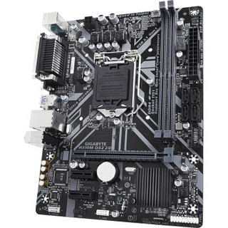 技嘉（GIGABYTE）H310M DS2 2.0 主板 + 英特尔 G4900 板U套装/主板+CPU套装