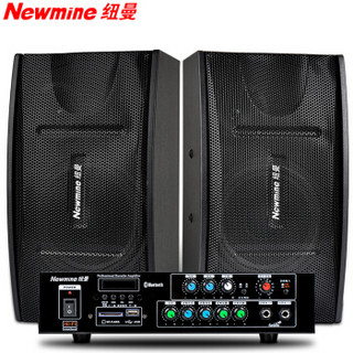 纽曼 (Newmine) BW-368 家庭影院KTV音响套装 家用K歌会议蓝牙功放音箱组合