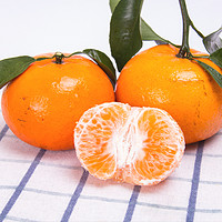 广西砂糖橘正宗沙糖桔新鲜小橘子薄皮蜜桔超甜水果 5斤