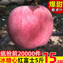 多滋园 冰糖心红富士苹果 果径75-80mm 不含箱9斤