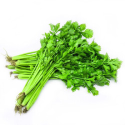 晋村桂河芹菜5斤