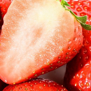 甘福园 国产丹东99牛奶草莓 1500g