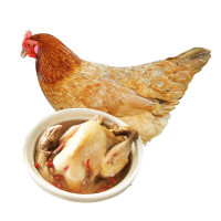 筱诺生鲜 散养三黄童子鸡 新鲜现杀 750g/只 *3件