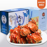 京东PLUS会员：颜氏蟹业 全母蟹 2.0两-2.3两 18只