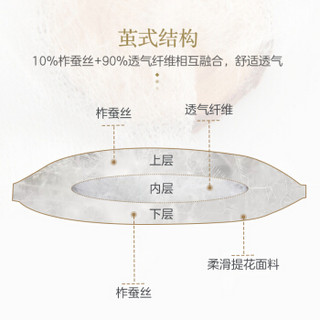 博洋家纺（BEYOND）蚕丝枕 枕头单人成人颈椎安睡中低枕芯家用蚕丝枕 挚雅丝绵枕（中） 45*70+3cm