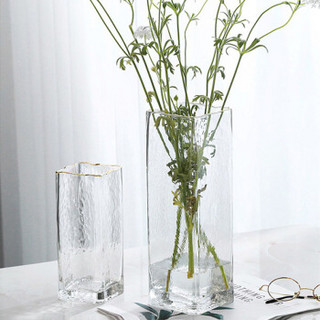 盛世泰堡 花瓶 北欧玻璃富贵竹仿真花干花鲜花插花透明花瓶 轻奢客厅居家装饰  描金冷纹款