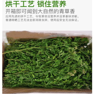 喜帅烘干紫花苜蓿草幼兔兔粮新鲜牧草干草兔子龙猫荷兰猪苜蓿草粮食饲料箱装1kg 报价价格评测怎么样 什么值得买