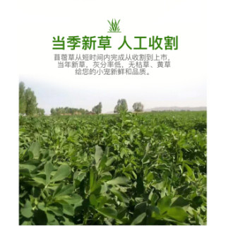 喜帅烘干紫花苜蓿草幼兔兔粮新鲜牧草干草兔子龙猫荷兰猪苜蓿草粮食饲料箱装1kg 报价价格评测怎么样 什么值得买 喜帅烘干紫花苜蓿草幼兔兔粮新鲜牧草干草兔子龙猫荷兰猪苜蓿草粮食饲料箱装1kg 报价价格评测怎么样 什么值得买