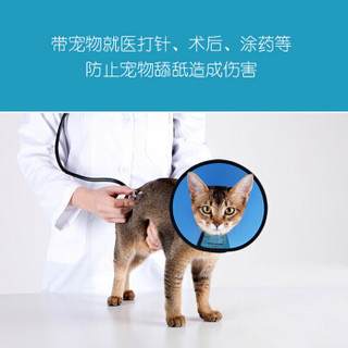 迪普尔 伊丽莎白圈 耻辱圈狗狗项圈狗头套猫项圈宠物狗脖套猫头套防咬圈狗用品6号8斤以下宠物