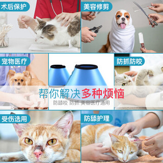 迪普尔 伊丽莎白圈 耻辱圈狗狗项圈狗头套猫项圈宠物狗脖套猫头套防咬圈狗用品6号8斤以下宠物