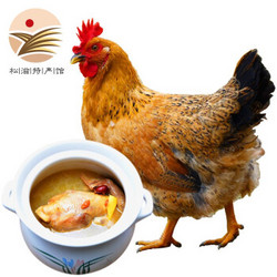 农家散养柴鸡新鲜鸡肉  单只净重2-2.5斤 共2只