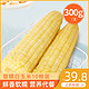 新鲜玉米糯玉米300g*10支甜糯玉米棒有机黏粘白玉米粗粮真空东北